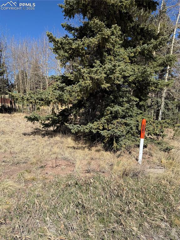 405 Meadow Park Drive Divide CO 80814