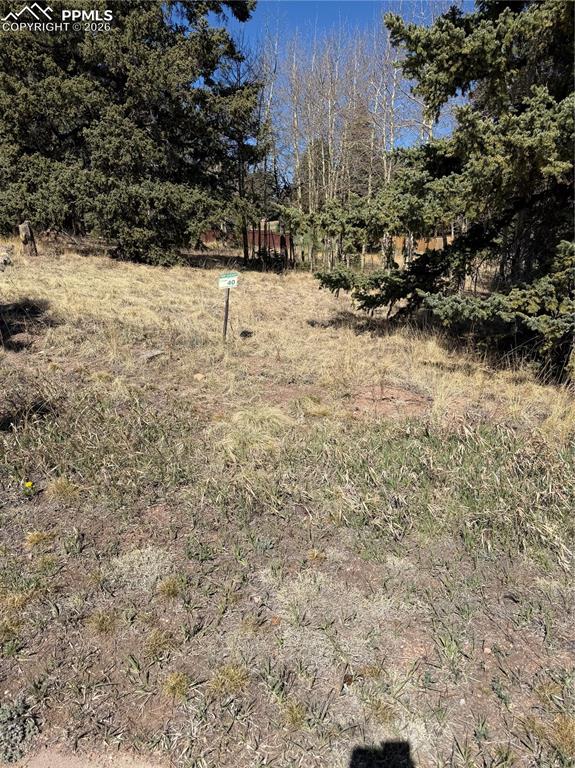 405 Meadow Park Drive Divide CO 80814