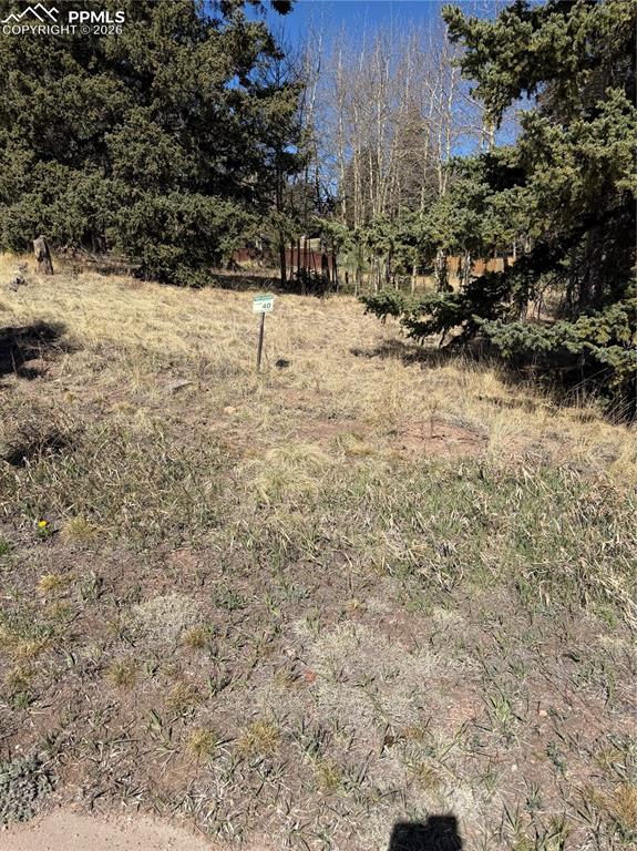 405 Meadow Park Drive Divide CO 80814