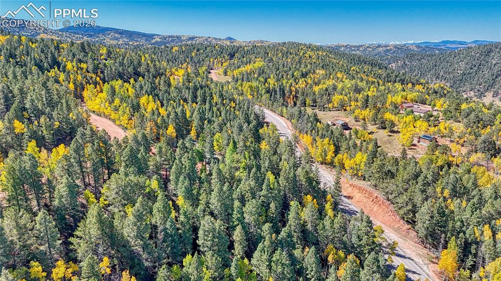959 Calcite Drive Divide CO 80814