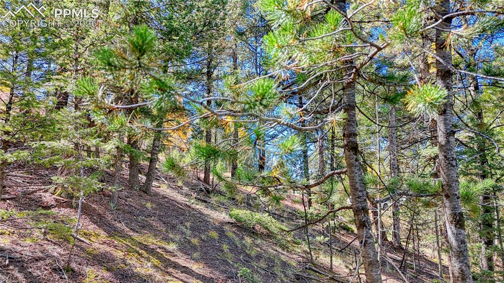 959 Calcite Drive Divide CO 80814