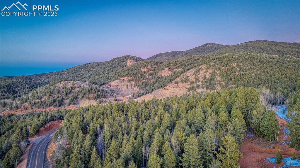 959 Calcite Drive Divide CO 80814