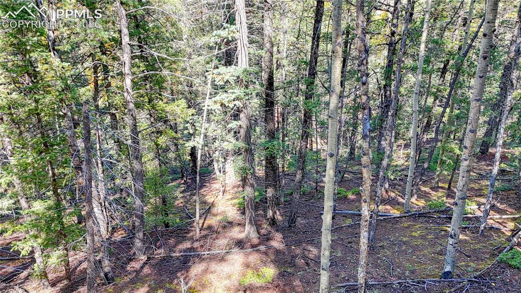 959 Calcite Drive Divide CO 80814
