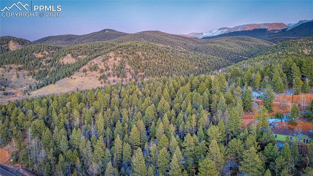 959 Calcite Drive Divide CO 80814