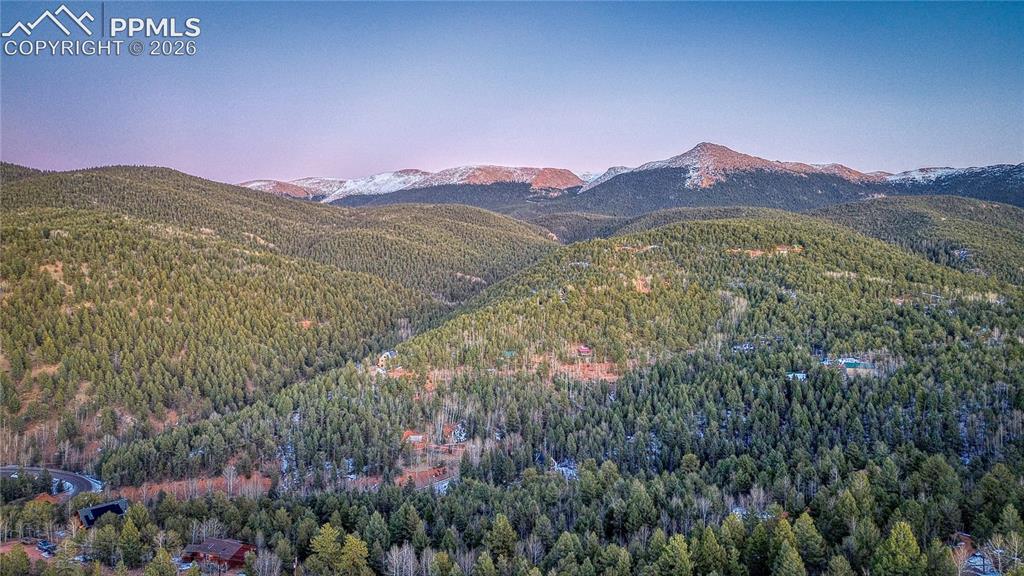 959 Calcite Drive Divide CO 80814