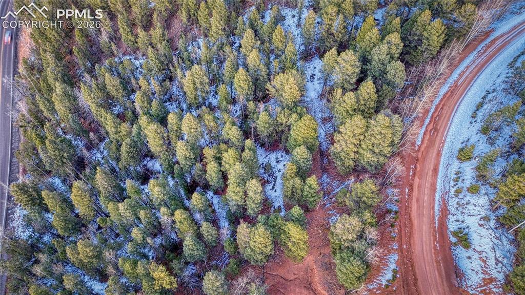 959 Calcite Drive Divide CO 80814