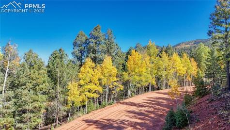 959 Calcite Drive Divide CO 80814