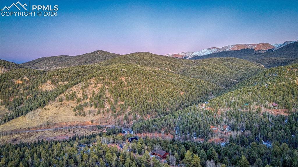 959 Calcite Drive Divide CO 80814