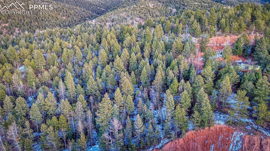 959 Calcite Drive Divide CO 80814