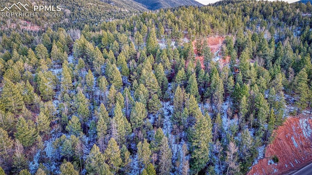 959 Calcite Drive Divide CO 80814