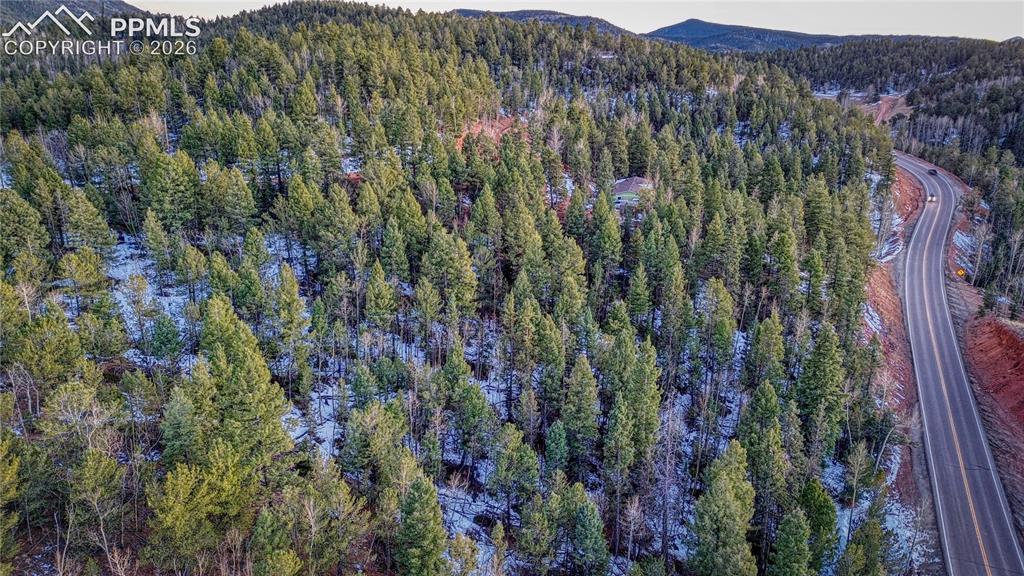 959 Calcite Drive Divide CO 80814