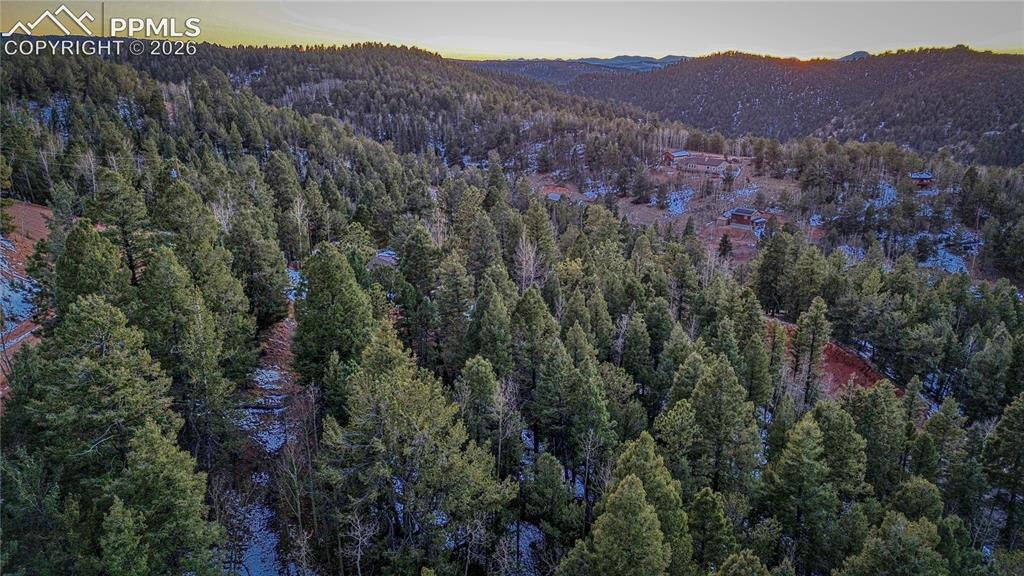 959 Calcite Drive Divide CO 80814