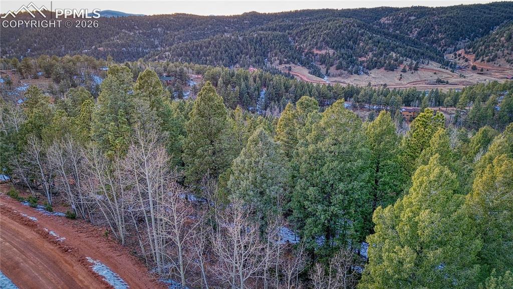 959 Calcite Drive Divide CO 80814