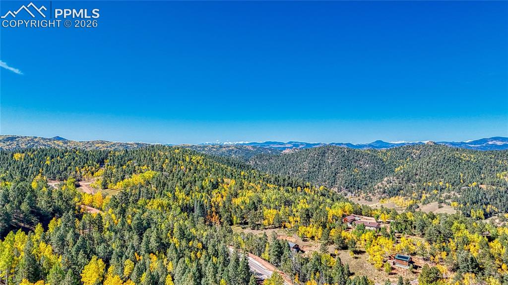 959 Calcite Drive Divide CO 80814