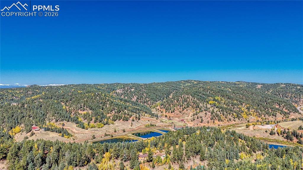 959 Calcite Drive Divide CO 80814