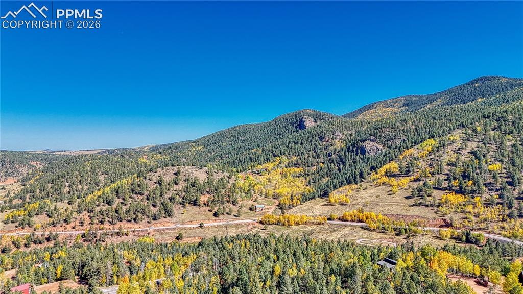 959 Calcite Drive Divide CO 80814
