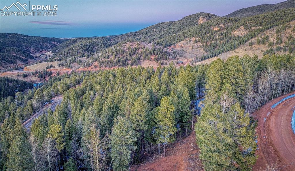 959 Calcite Drive Divide CO 80814