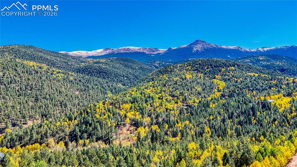959 Calcite Drive Divide CO 80814