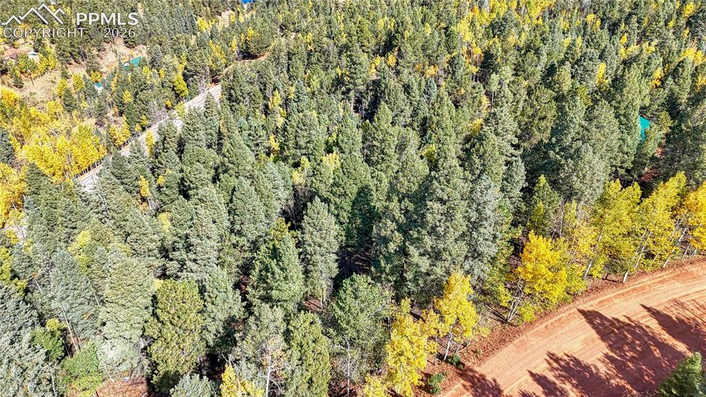959 Calcite Drive Divide CO 80814