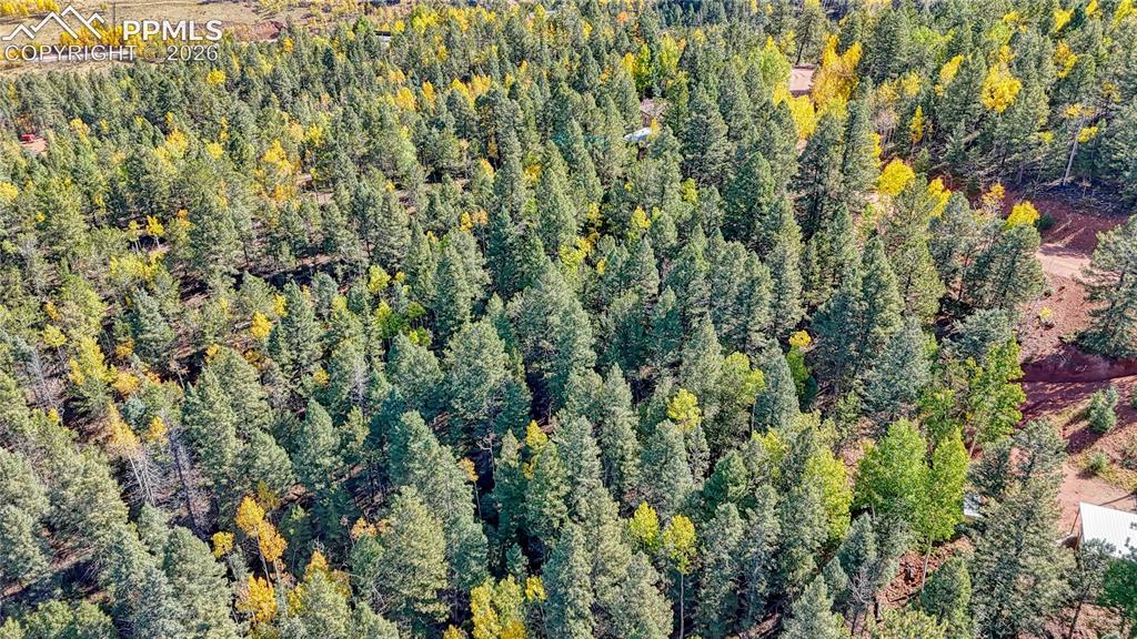 959 Calcite Drive Divide CO 80814