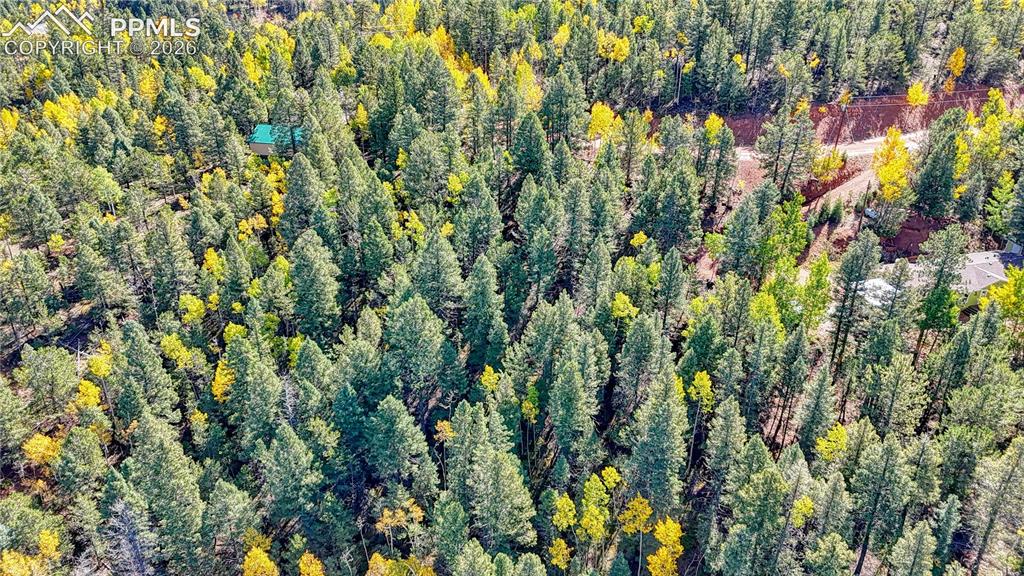 959 Calcite Drive Divide CO 80814