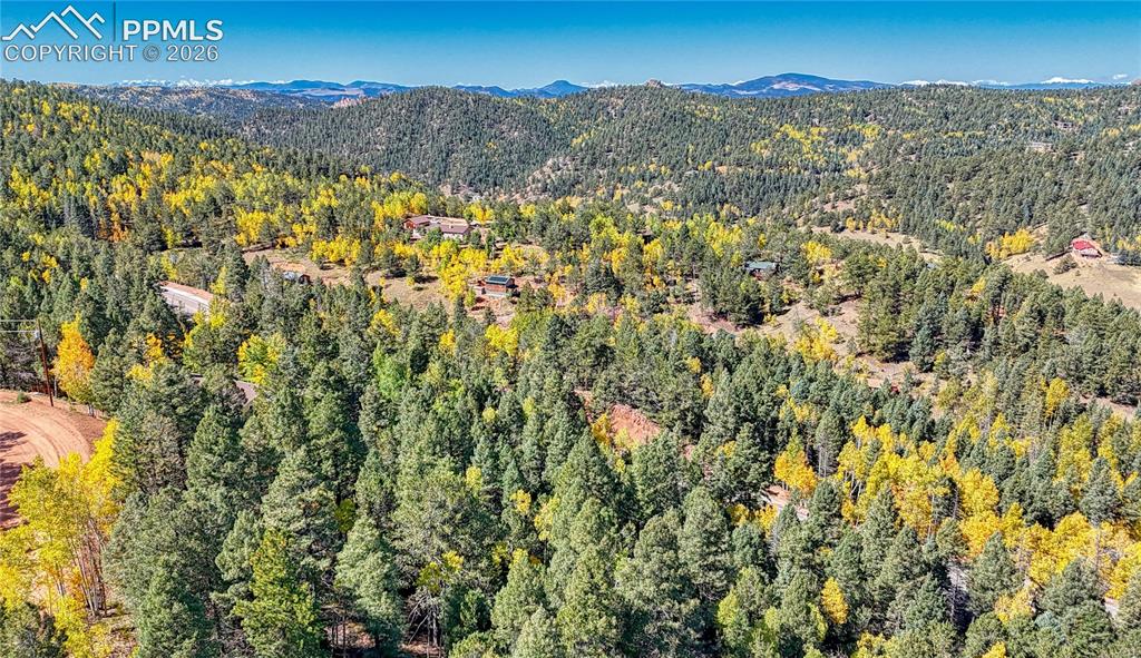 959 Calcite Drive Divide CO 80814