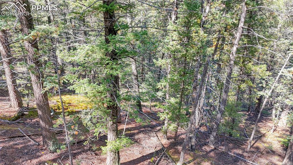 959 Calcite Drive Divide CO 80814