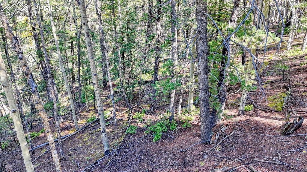 959 Calcite Drive Divide CO 80814