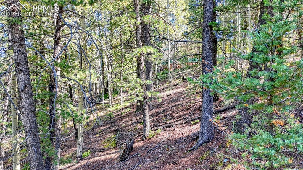 959 Calcite Drive Divide CO 80814