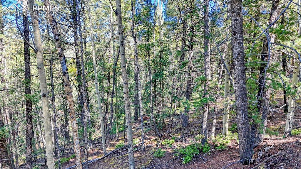 959 Calcite Drive Divide CO 80814
