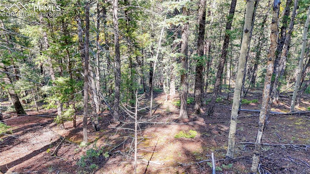 959 Calcite Drive Divide CO 80814