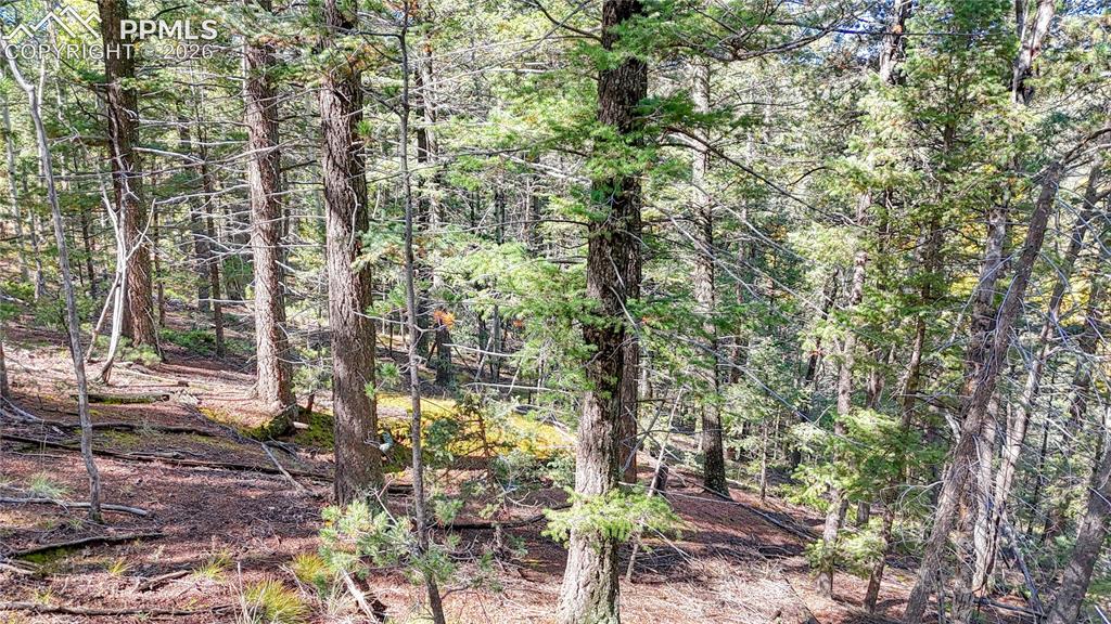 959 Calcite Drive Divide CO 80814