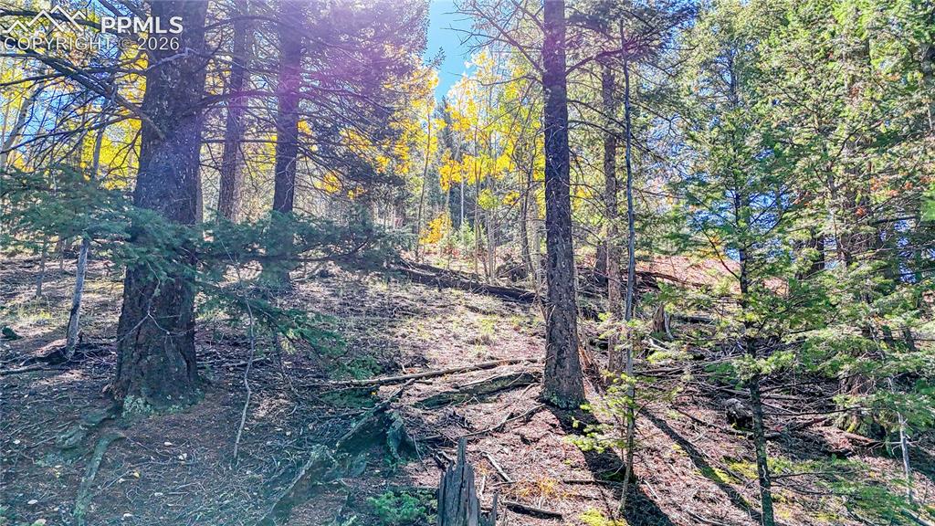 959 Calcite Drive Divide CO 80814
