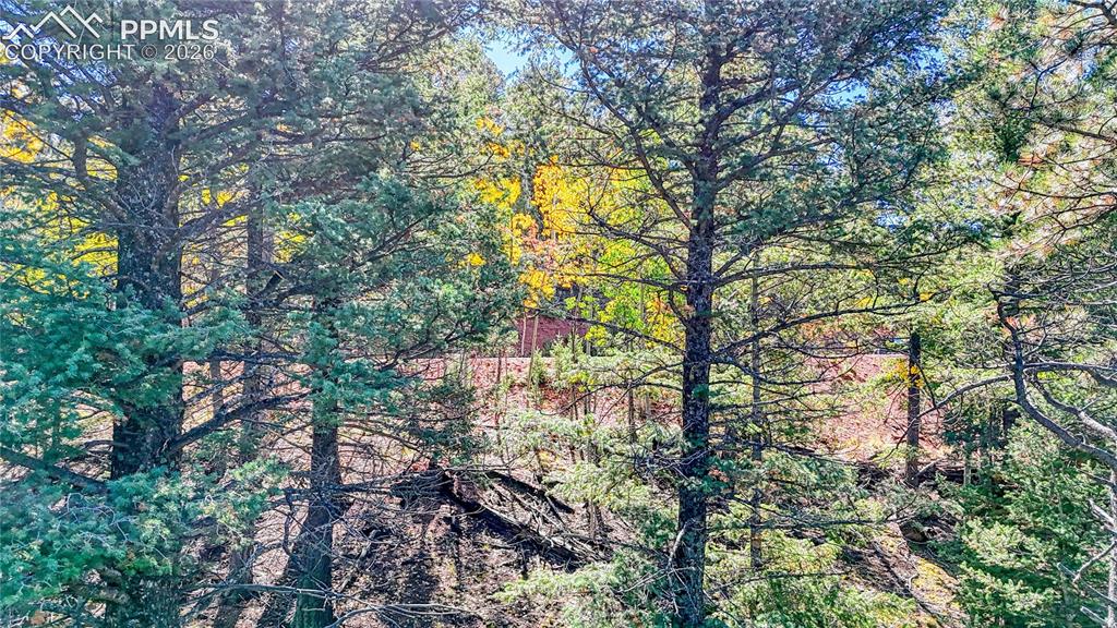 959 Calcite Drive Divide CO 80814