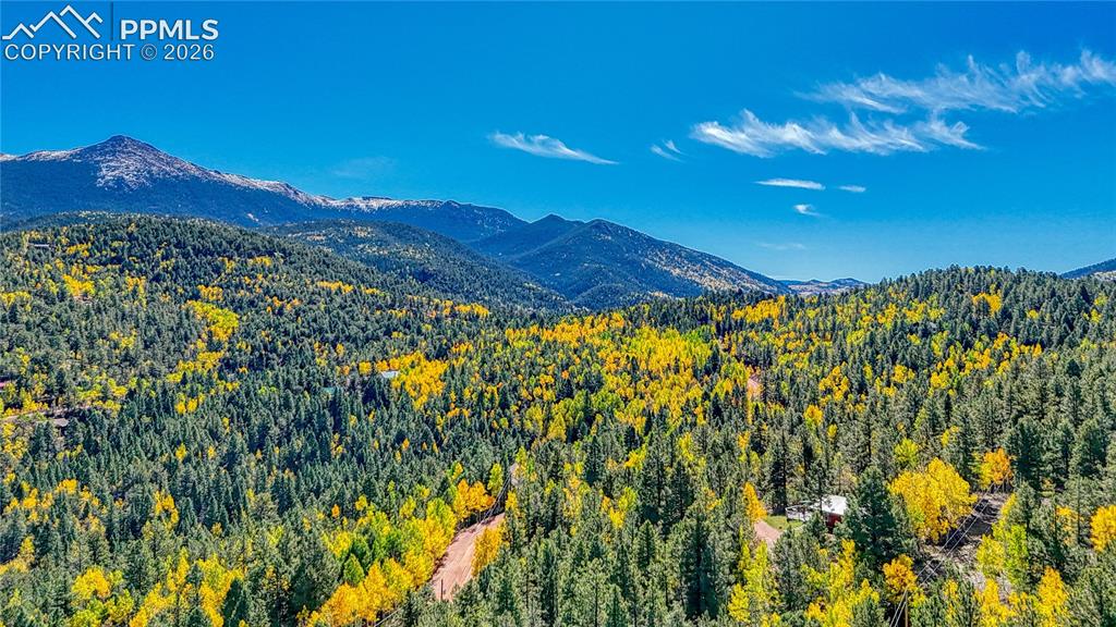 959 Calcite Drive Divide CO 80814