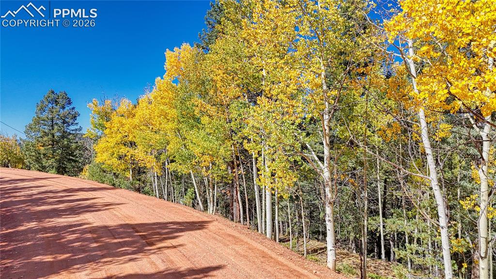 959 Calcite Drive Divide CO 80814