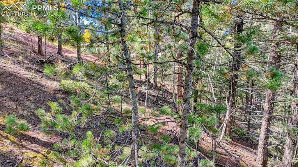 959 Calcite Drive Divide CO 80814