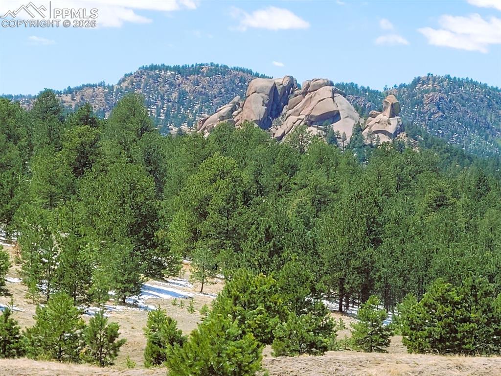 409 Wind Dancer Circle Florissant CO 80816