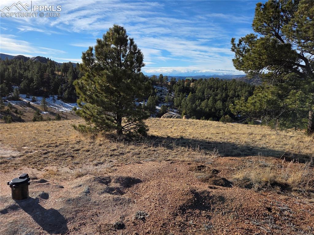 409 Wind Dancer Circle Florissant CO 80816
