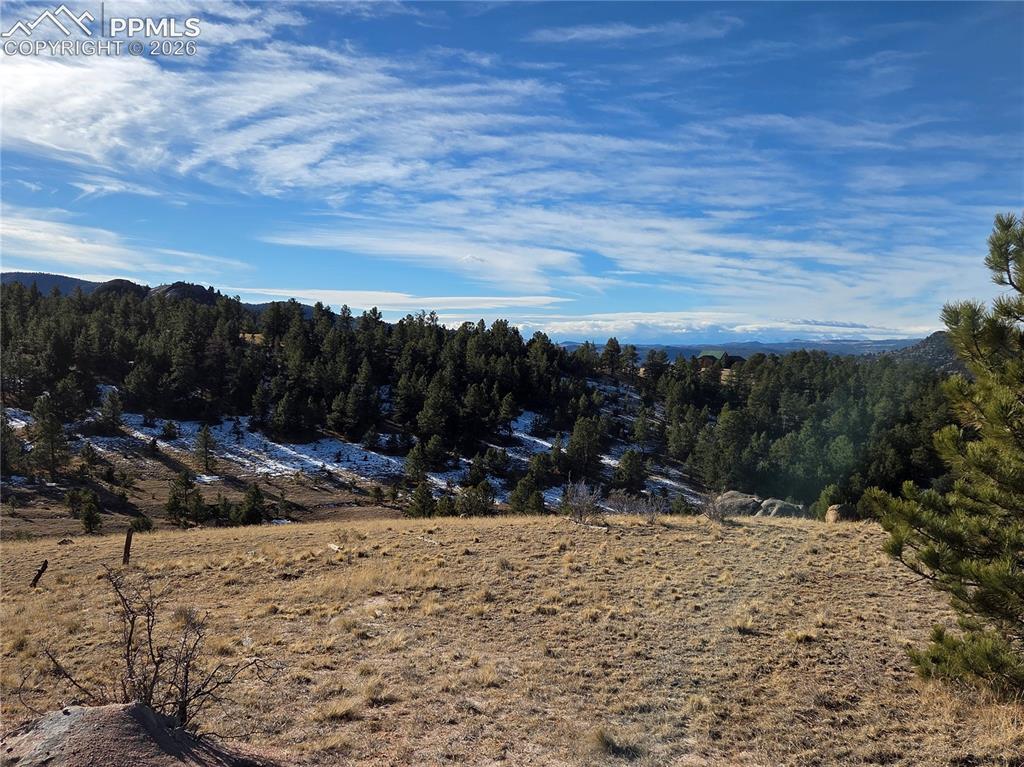 409 Wind Dancer Circle Florissant CO 80816