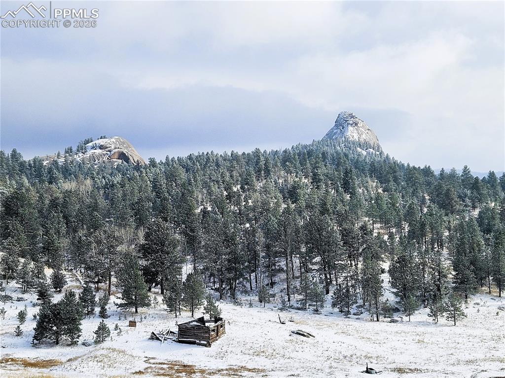409 Wind Dancer Circle Florissant CO 80816