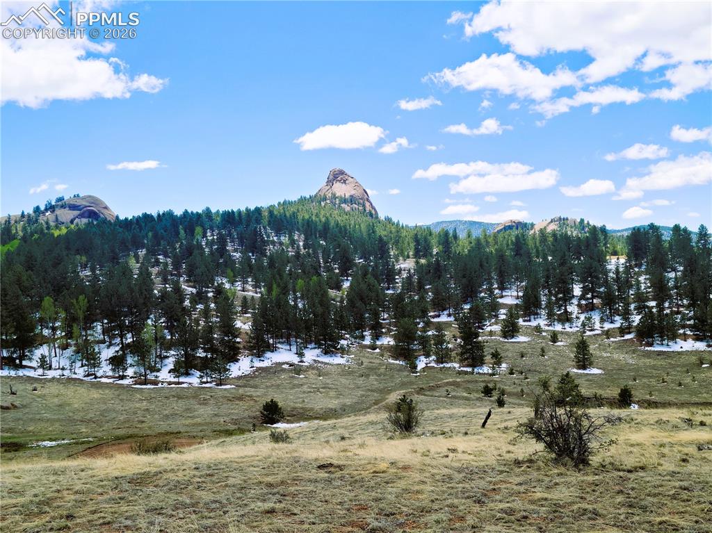 409 Wind Dancer Circle Florissant CO 80816