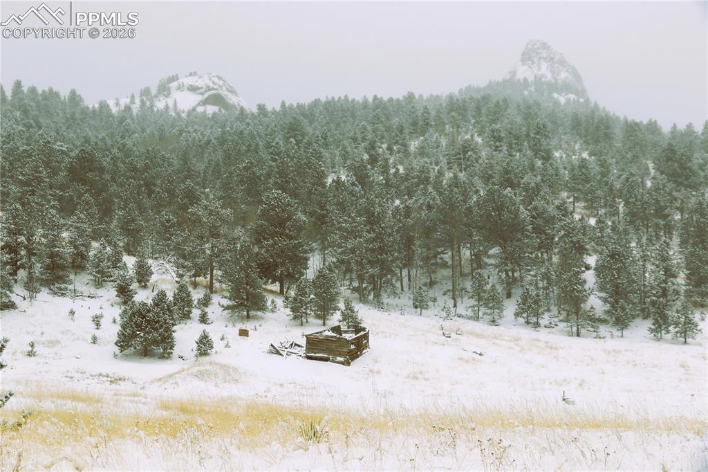 409 Wind Dancer Circle Florissant CO 80816