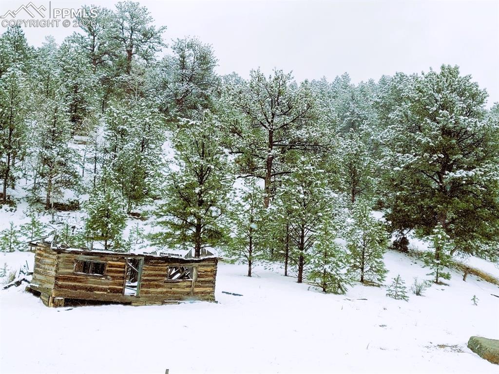 409 Wind Dancer Circle Florissant CO 80816