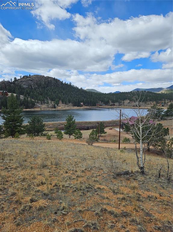635 Sleepy Joe Drive Lake George CO 80827
