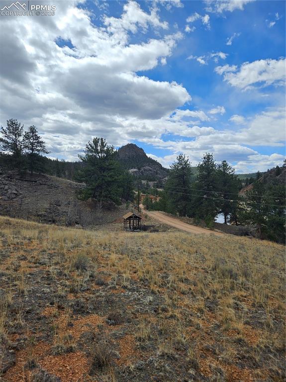 635 Sleepy Joe Drive Lake George CO 80827