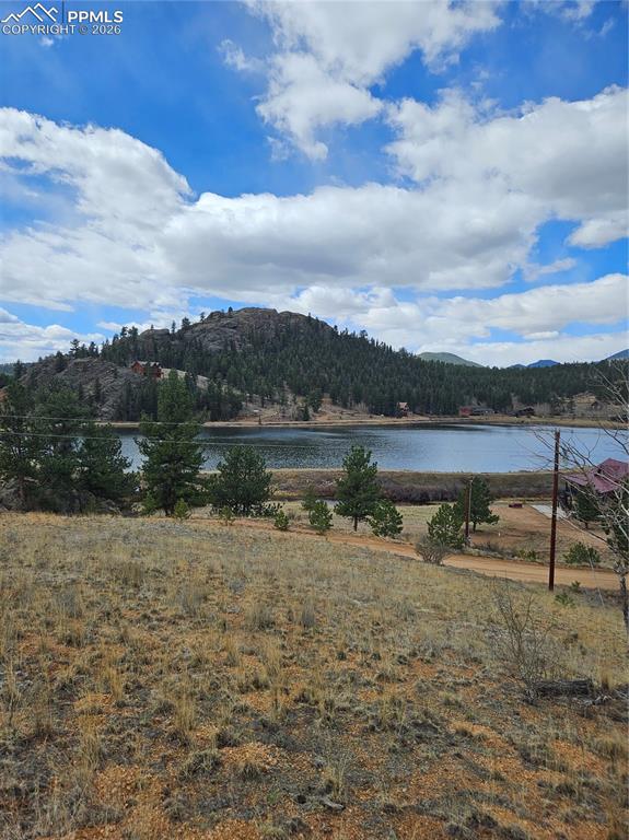 635 Sleepy Joe Drive Lake George CO 80827