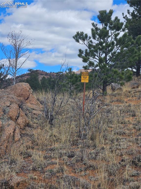635 Sleepy Joe Drive Lake George CO 80827