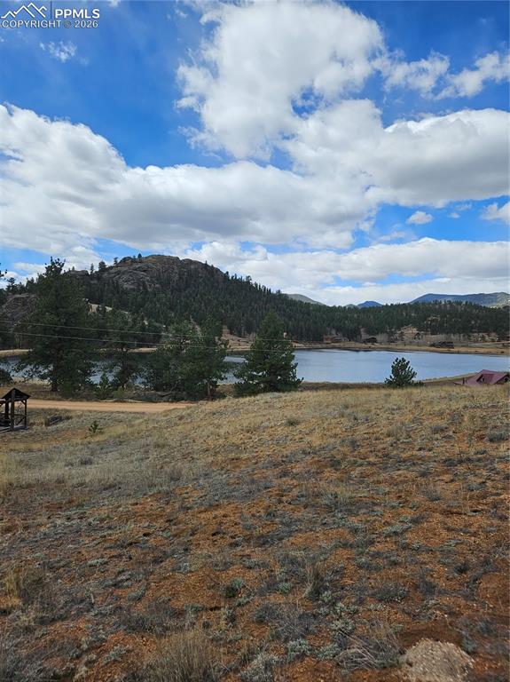 635 Sleepy Joe Drive Lake George CO 80827