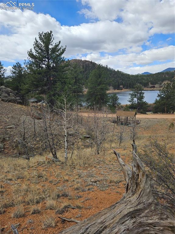 635 Sleepy Joe Drive Lake George CO 80827